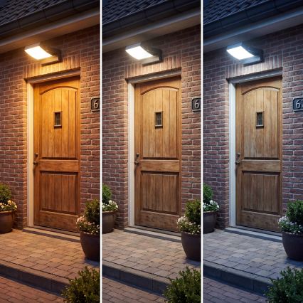 LED dæmpbar udendørs væglampe LED/12/18/24W/230V 3000/4000/6500K IP54 sort