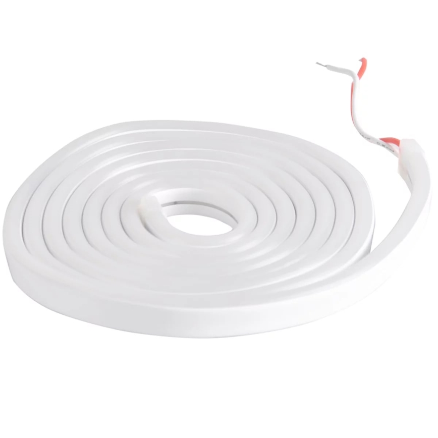 LED strimmel NEON 2 m LED/17W/12V 4,000K IP65