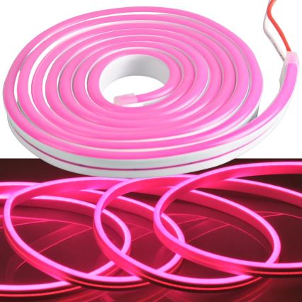 LED strimmel NEON 2 m LED/17W/12V IP65 pink