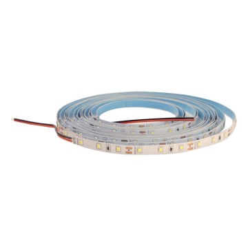 LED strip DAISY 5 m koldt hvidt dagslys