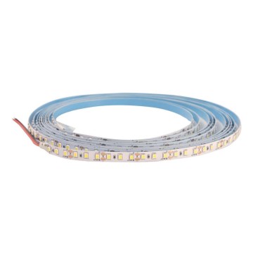 LED strip DAISY 5 m koldt hvidt lys