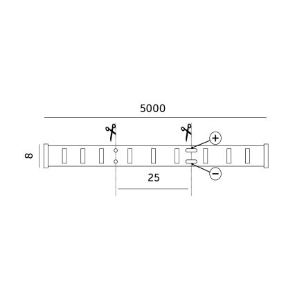 LED strip LED/50W/12V 5 m 6500K