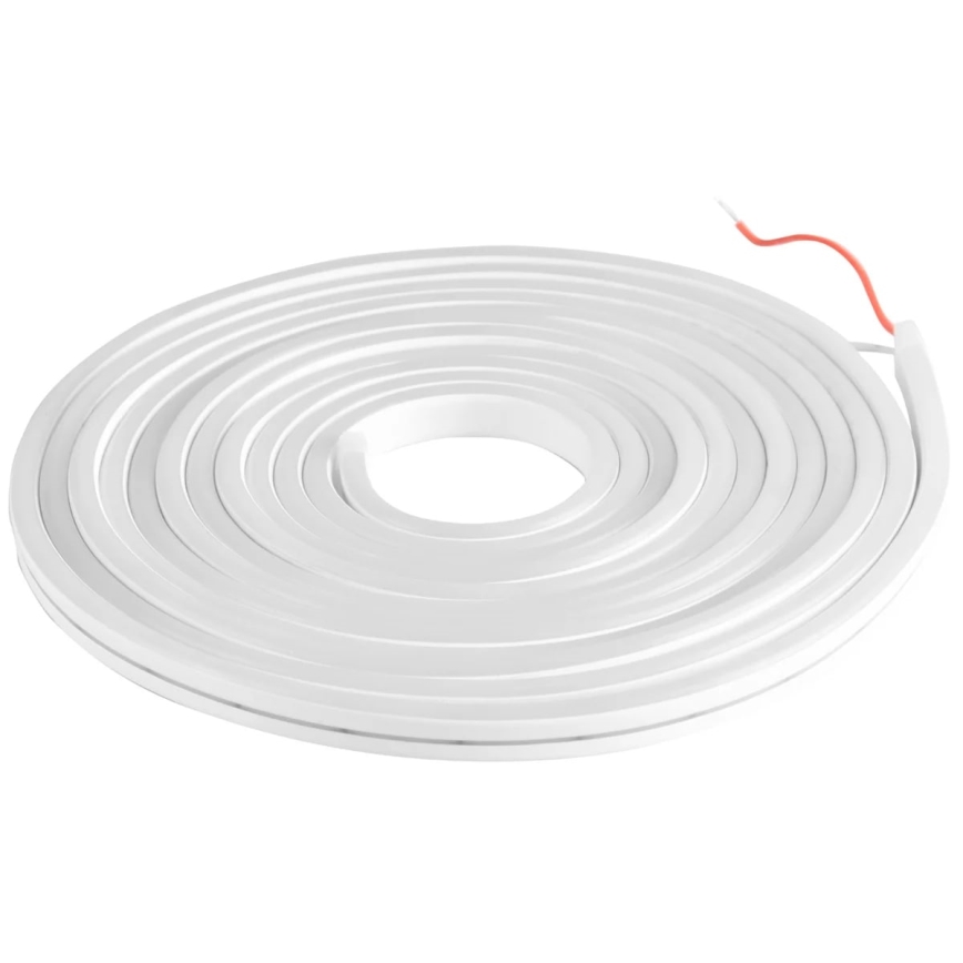 LED strip NEON 5 m LED/48W/24V 4000K IP65