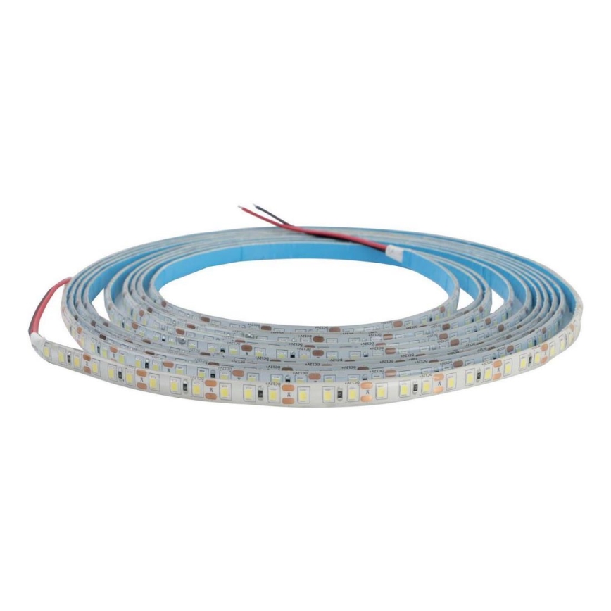 LED strip til badeværelse DAISY 5 m dagslyshvid IP65