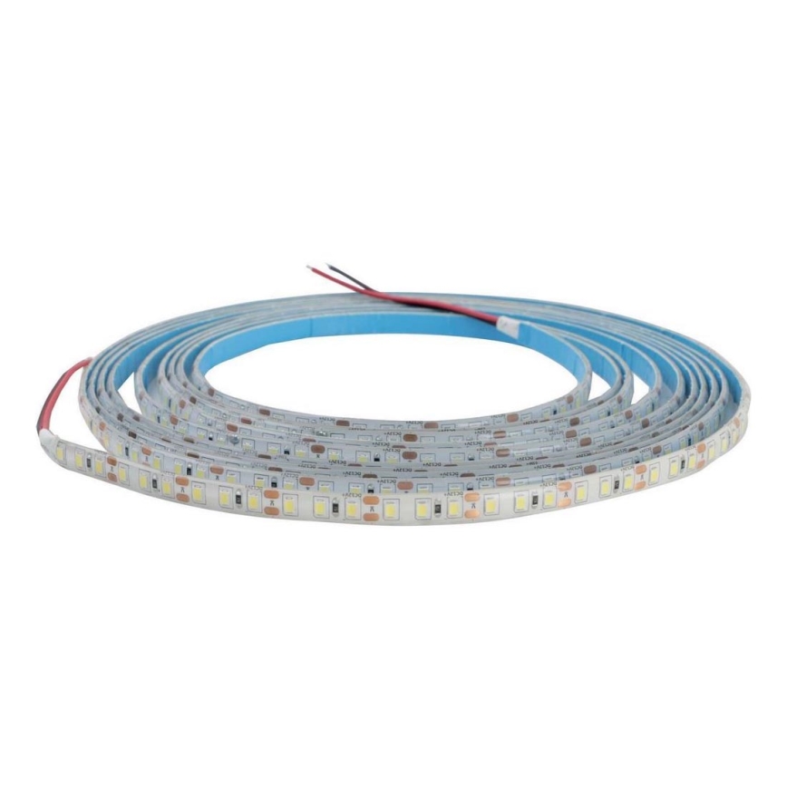 LED strip til badeværelse DAISY 5 m varmt hvidt lys IP65