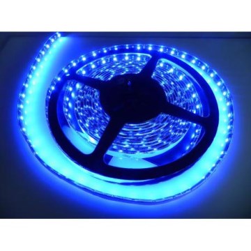 LED strip til badeværelse LED/24W/12V 5 m IP65 blå