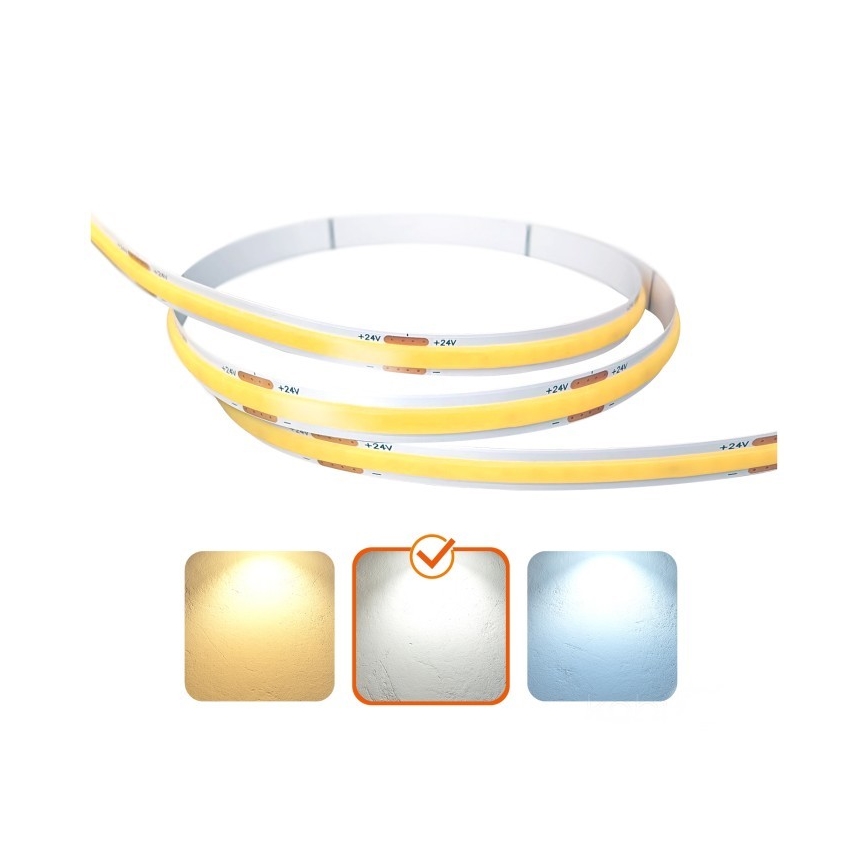 LED strip TRAMO LED/5W/24V 50 m 4000K