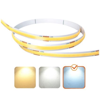 LED strip TRAMO LED/5W/24V 50 m 6500K