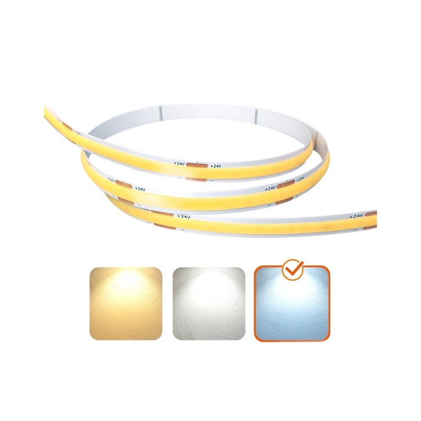 LED strip TRAMO LED/5W/24V 50 m 6500K