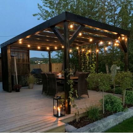 LED udendørs dekorationskæde 20xE27/1W/230V 11,44 m IP44 sort