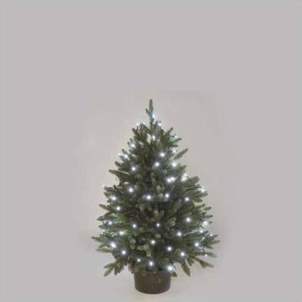 LED udendørs julelyskæde 80xLED/13m IP44 kold hvid