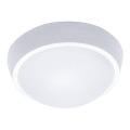 LED udendørs loftarmatur LED/30W/230V IP65