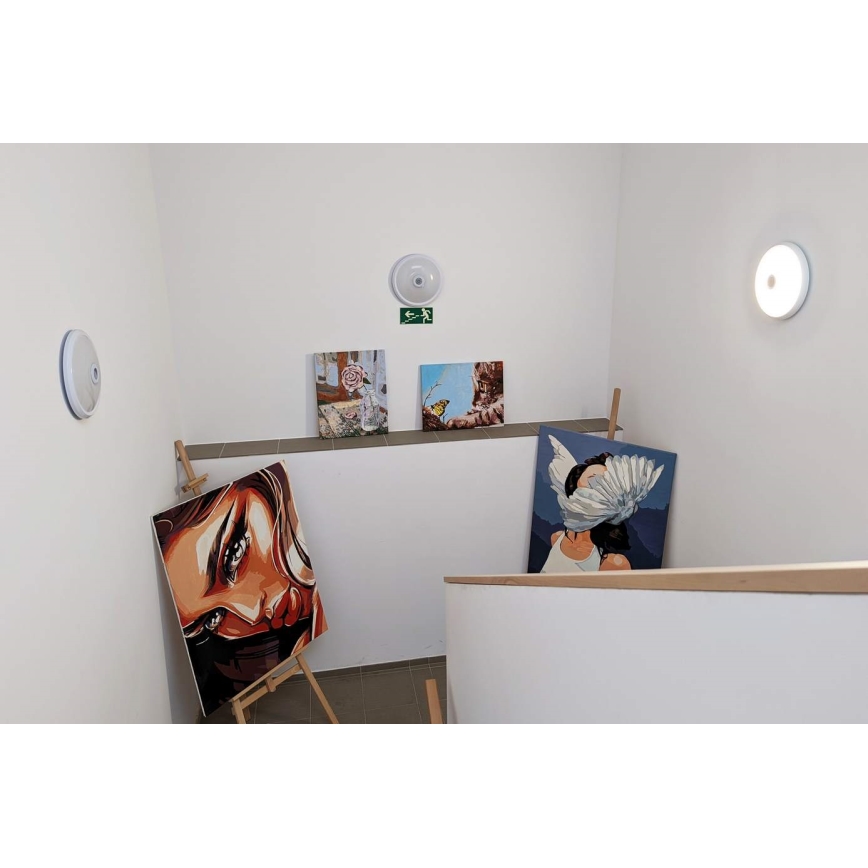 LED udendørs loftarmatur med bevægelses- og skumringssensor, LED/16W/230V, Ø 28,5 cm, IP54, hvid