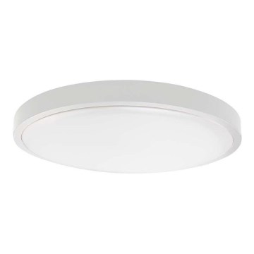 LED Udendørs loftlampe med sensor LED/24W/230V 6500K IP44 hvid
