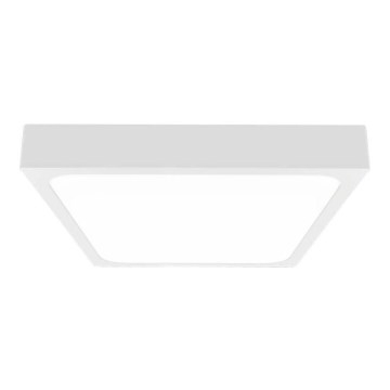 LED Udendørs loftlampe med sensor LED/30W/230V 4000K IP44 hvid