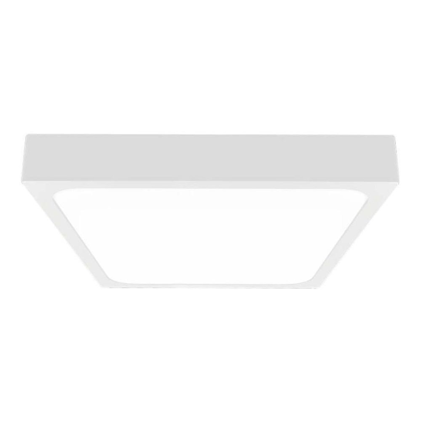 LED Udendørs loftlampe med sensor LED/30W/230V 4000K IP44 hvid