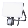 LED Udendørs projektør med sensor LED/30W/230V 5000K IP44