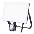 LED Udendørs projektør med sensor LED/50W/230V 5000K IP44