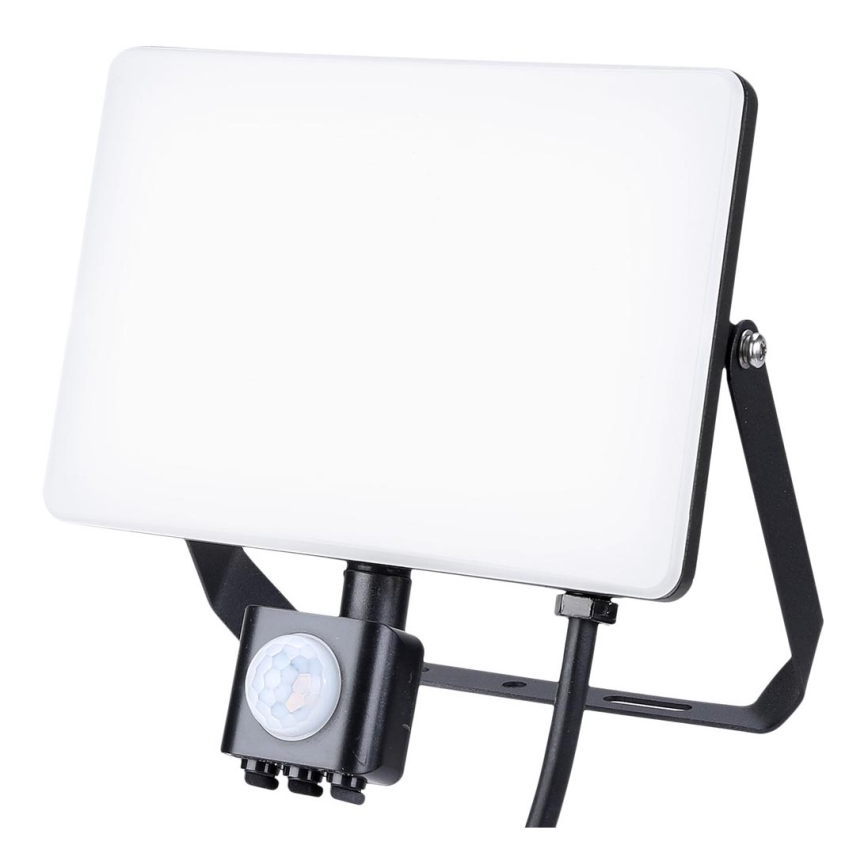 LED Udendørs projektør med sensor LED/50W/230V 5000K IP44