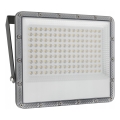 LED Udendørs reflektor LED/100W/230V 4500K IP65 grå