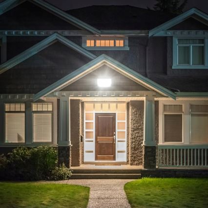 LED Udendørs reflektor LED/100W/230V 4500K IP65 grå