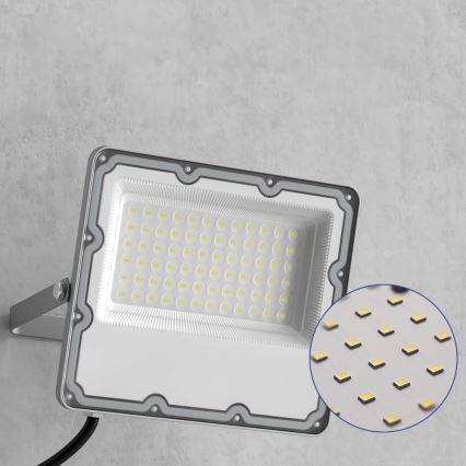 LED Udendørs reflektor LED/100W/230V 4500K IP65 grå