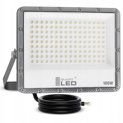 LED Udendørs reflektor LED/100W/230V 4500K IP65 grå