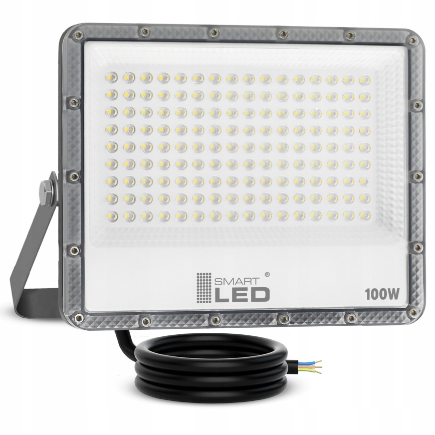 LED Udendørs reflektor LED/100W/230V 4500K IP65 grå