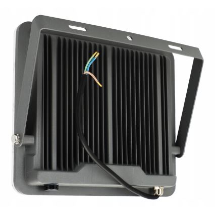 LED Udendørs reflektor LED/100W/230V 4500K IP65 grå