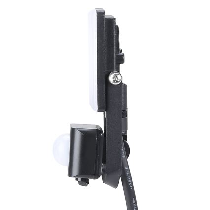 LED Udendørs projektør med sensor LED/10W/230V 5000K IP44