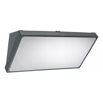 LED udendørs vægarmatur med bevægelsessensor LED/20W/230V IP65 grå