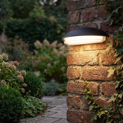 LED udendørs væglampe ALABAMA LED/12W/230V IP54 sort