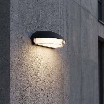 LED udendørs væglampe ALABAMA LED/12W/230V IP54 sort