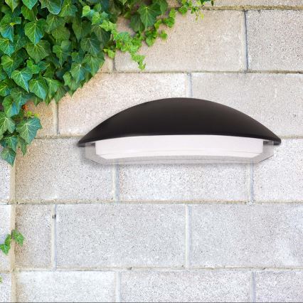 LED udendørs væglampe ALABAMA LED/12W/230V IP54 sort