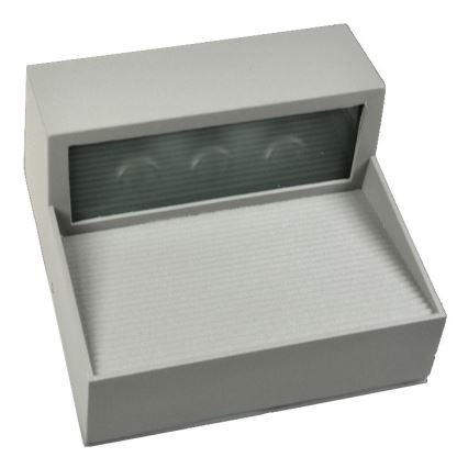 LED udendørs væglampe CARRI LED/3W/230V IP54