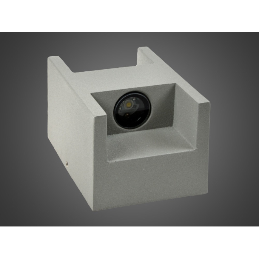 LED udendørs væglampe CISSA 2xLED/2W/230V IP54