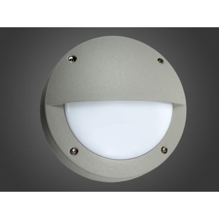 LED udendørs væglampe JORDI LED/3W/230V IP54 grå