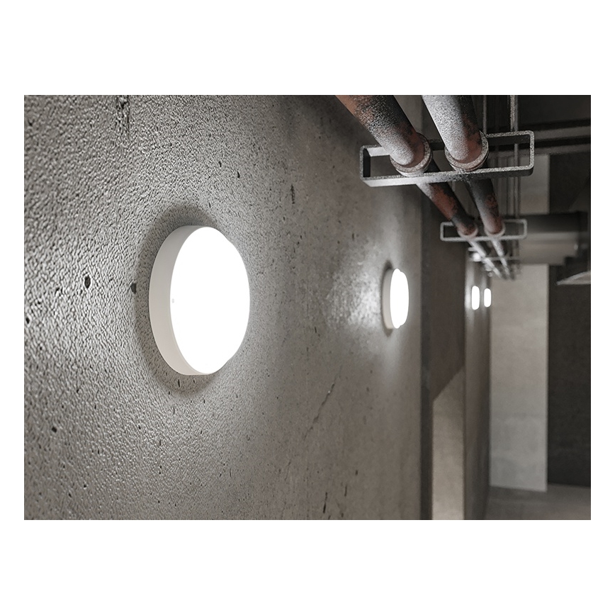 LED udendørs væglampe LED/18W/230V IP54 hvid