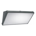 LED Udendørs væglampe LED/20W/230V IP65 grå
