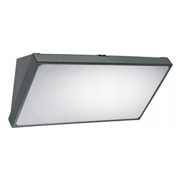 LED Udendørs væglampe LED/20W/230V IP65 grå
