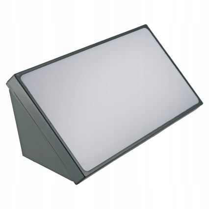 LED Udendørs væglampe LED/20W/230V IP65 grå