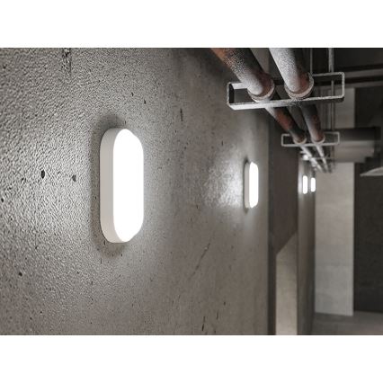 LED udendørs væglampe LED/6W/230V IP54 hvid