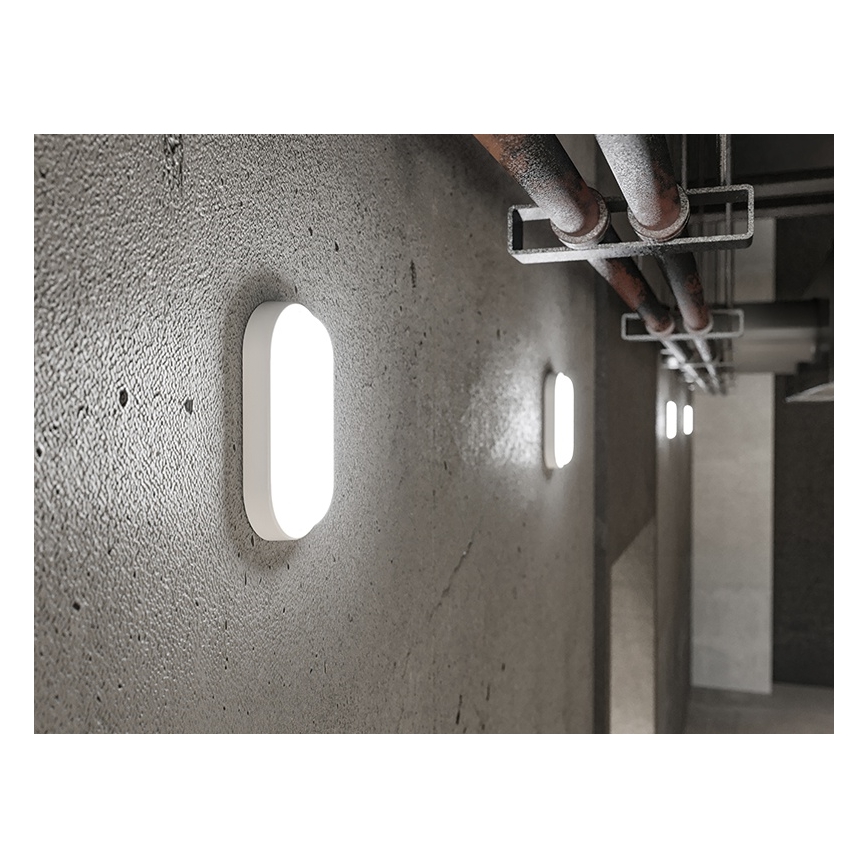 LED udendørs væglampe LED/6W/230V IP54 hvid