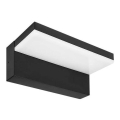 LED udendørs væglampe LED/9W/230V 4000K IP44 sort