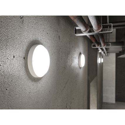 LED udendørs væglampe LED/9W/230V IP54 hvid