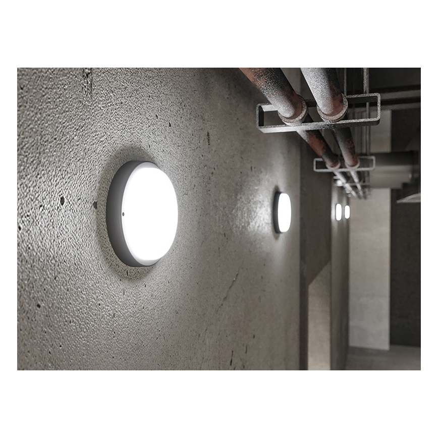 LED udendørs væglampe LED/9W/230V IP54 sort