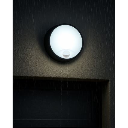 LED Dæmpbar udendørs væglampe med bevægelsessensor LED/15/18/20W/230V 3000K/4000K/6500K IP65 sort/hvid