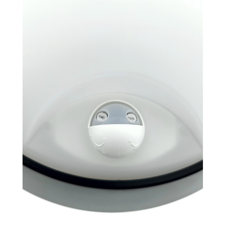 LED Dæmpbar udendørs væglampe med bevægelsessensor LED/15/18/20W/230V 3000K/4000K/6500K IP65 sort/hvid