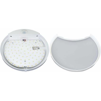 LED Udendørs væglampe med sensor HIBIS LED/15W/230V IP44
