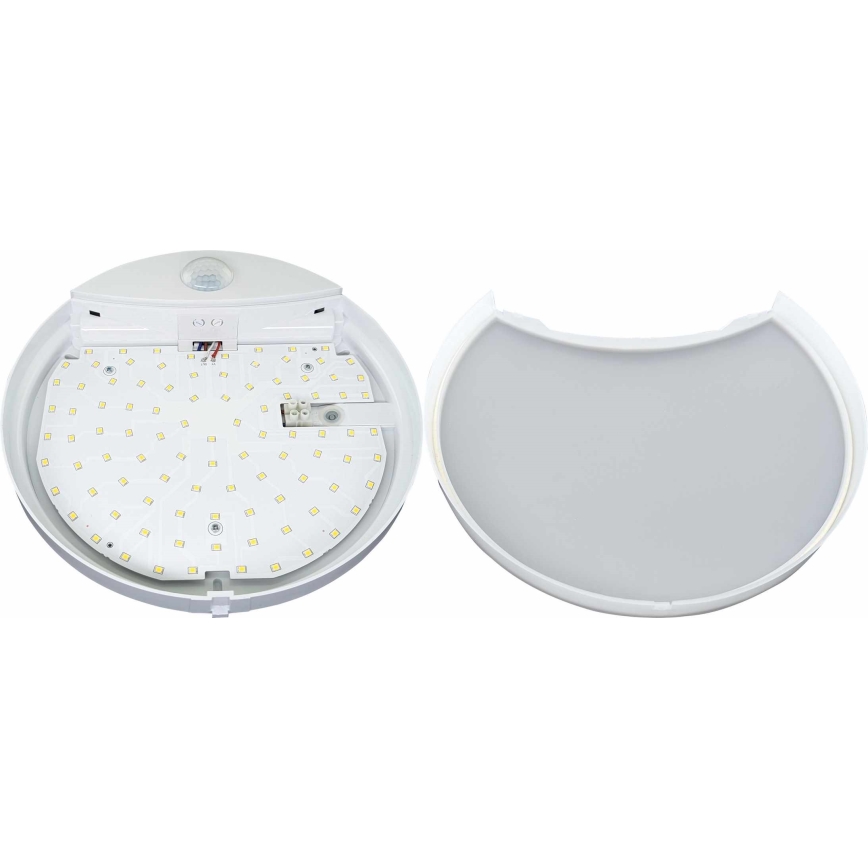 LED Udendørs væglampe med sensor HIBIS LED/15W/230V IP44